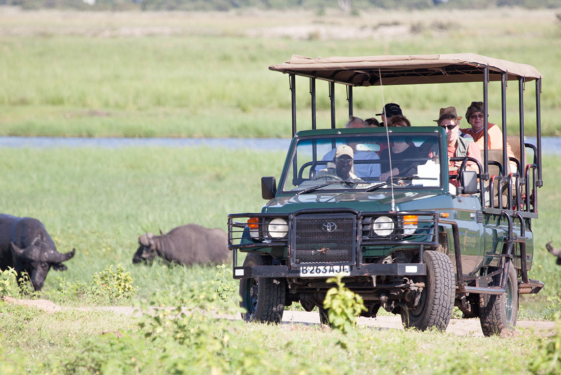 tourhub | Intrepid Travel | Premium Botswana 