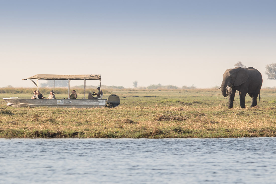 tourhub | Intrepid Travel | Premium Botswana 