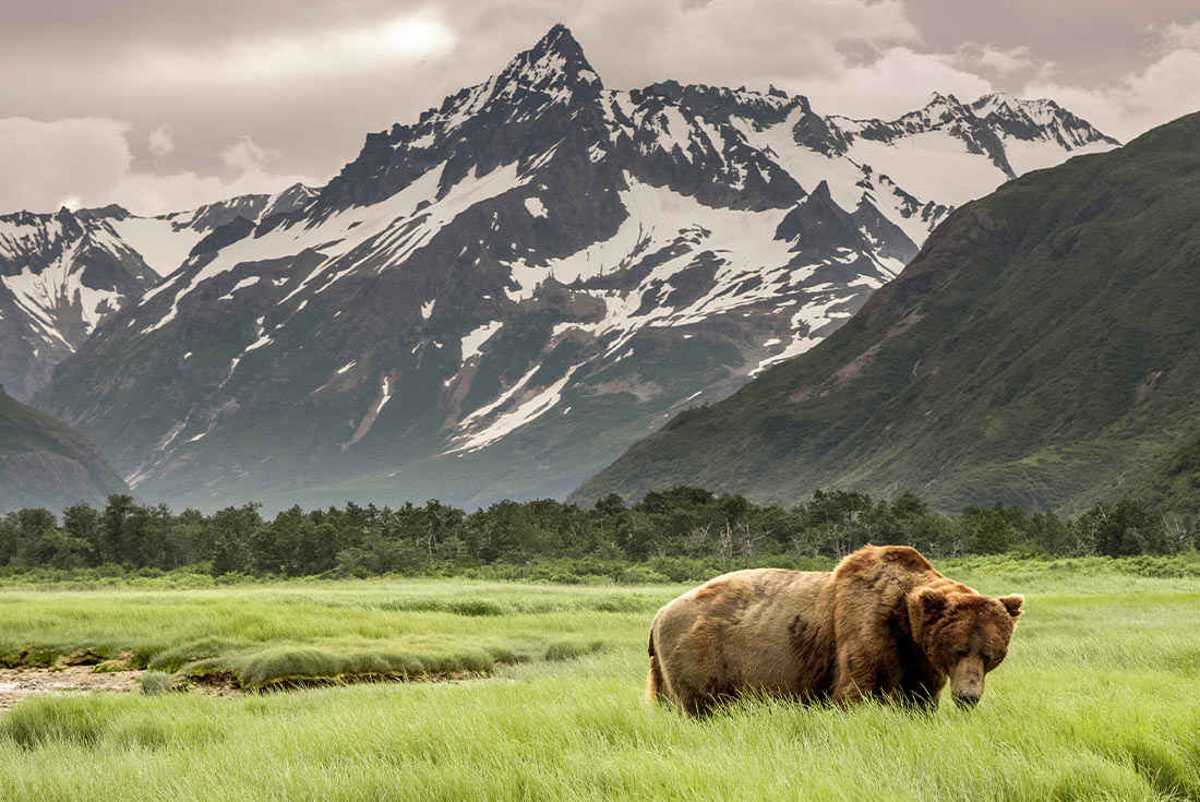 Hiking the Great Land of Alaska