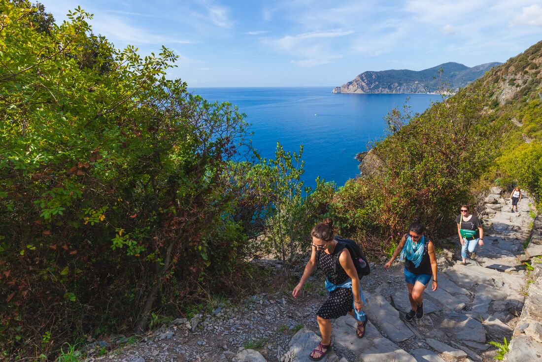 tourhub | Intrepid Travel | Cinque Terre: Hike, Bike & Kayak 