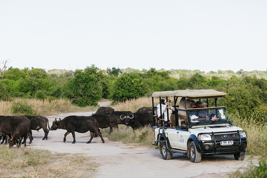 tourhub | Intrepid Travel | Botswana Highlights 