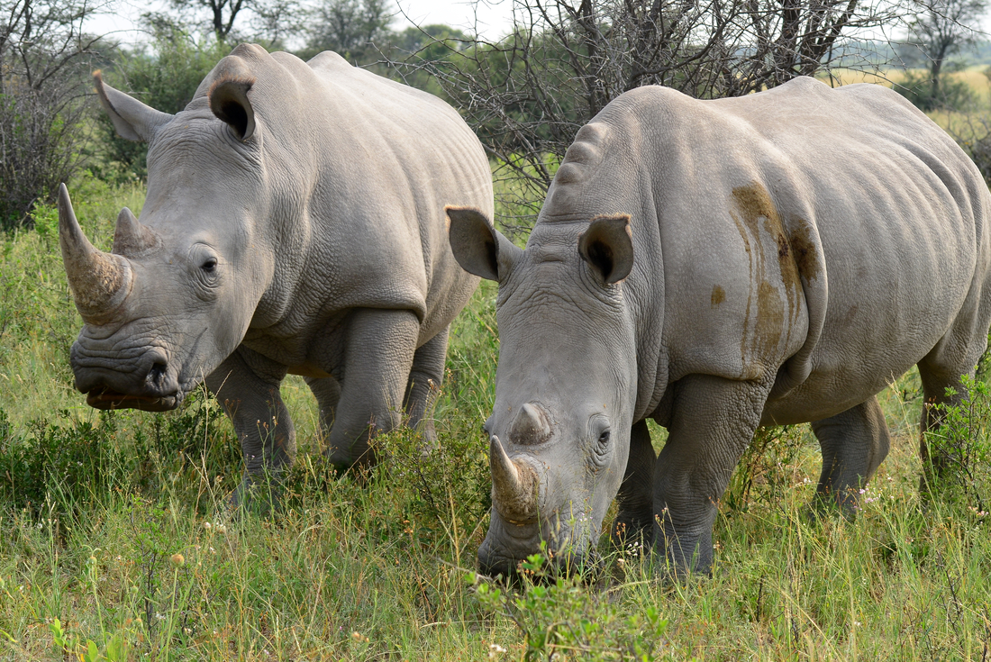 tourhub | Intrepid Travel | Botswana Highlights 