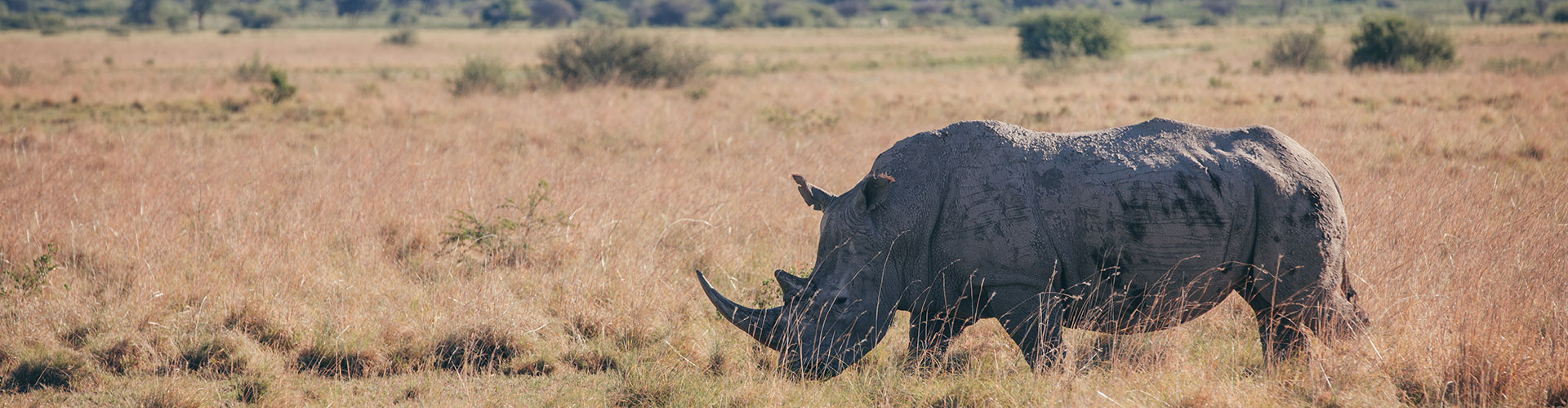 tourhub | Intrepid Travel | Botswana Highlights 