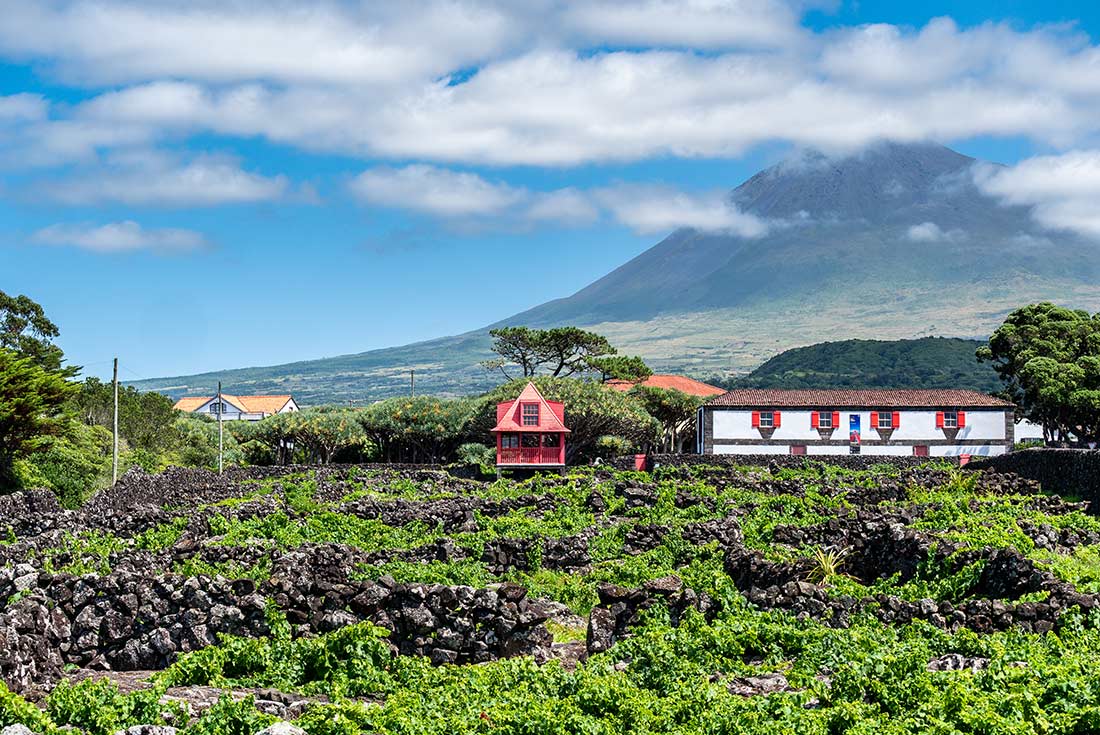 tourhub | Intrepid Travel | Highlights of the Azores 