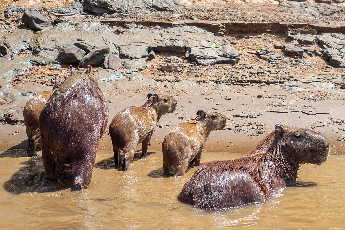 tourhub | Intrepid Travel | Premium Peru  