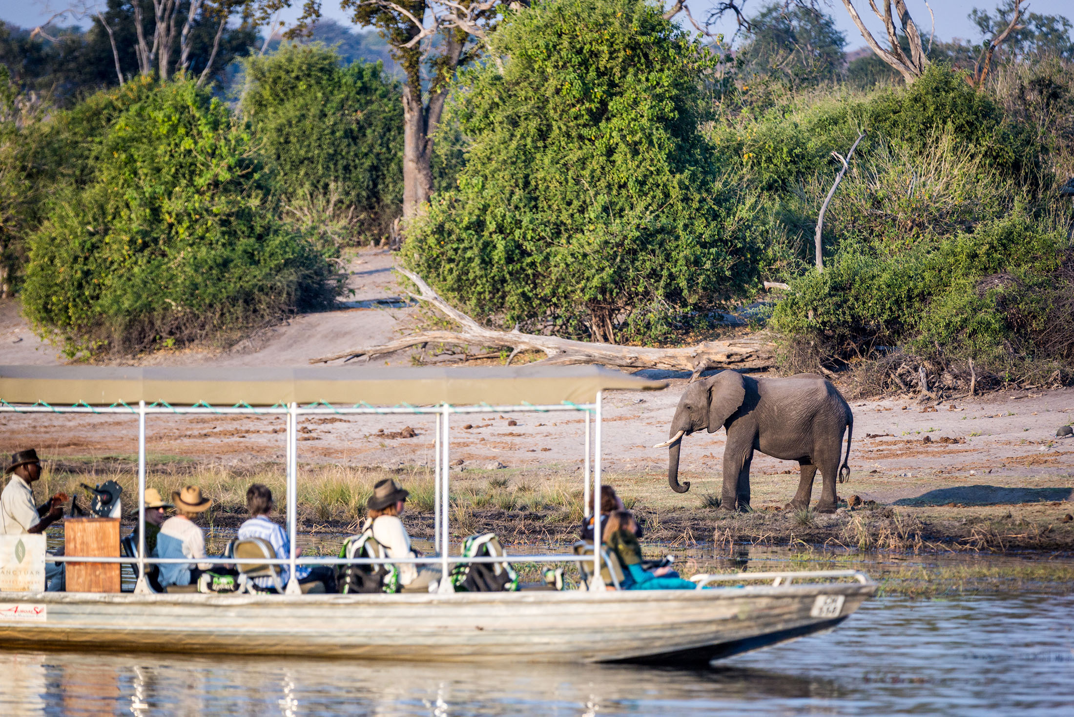 Botswana Family Safari with Teenagers