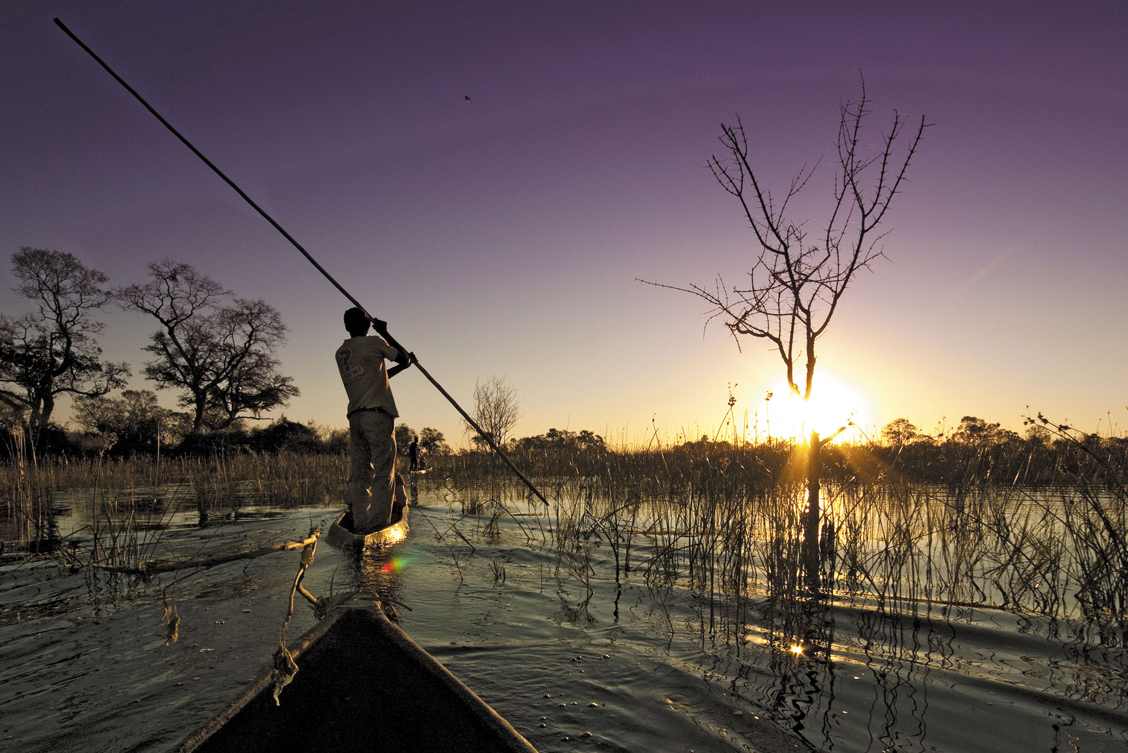 Botswana Family Safari with Teenagers