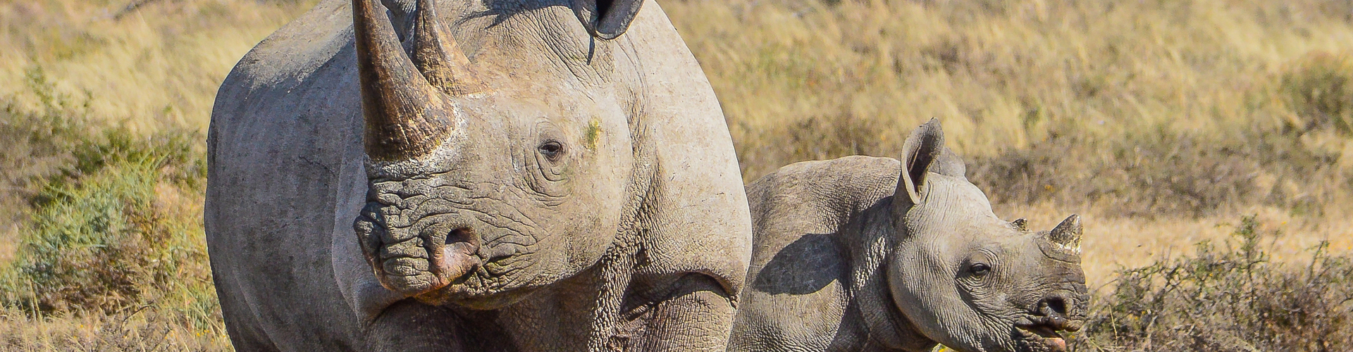 tourhub | Intrepid Travel | Botswana Family Safari with Teenagers 