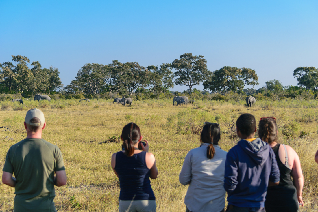 tourhub | Intrepid Travel | Botswana Family Safari with Teenagers 