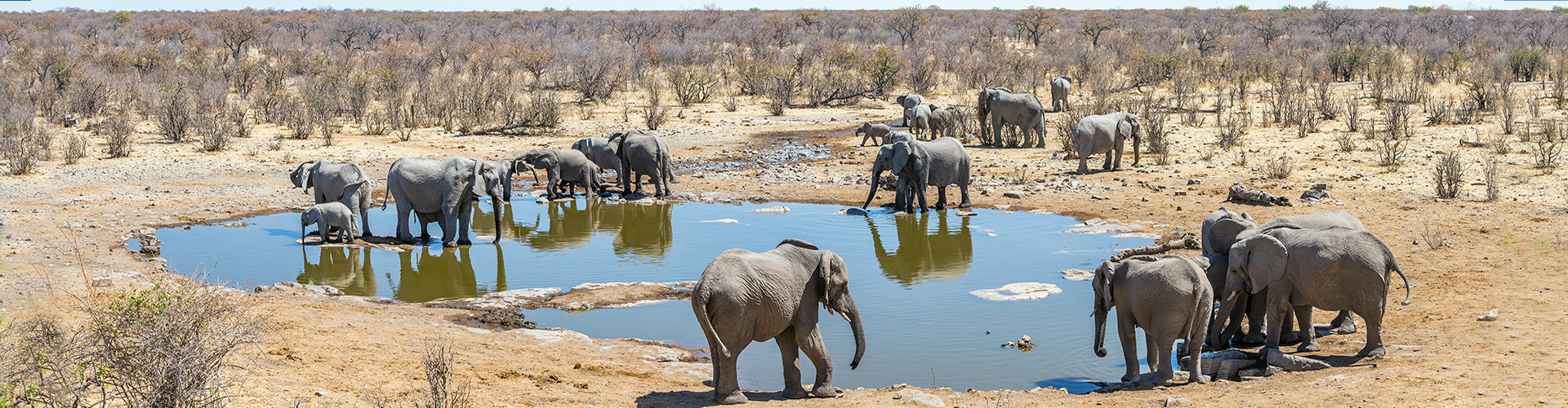 tourhub | Intrepid Travel | South Africa Family Safari with Teenagers 