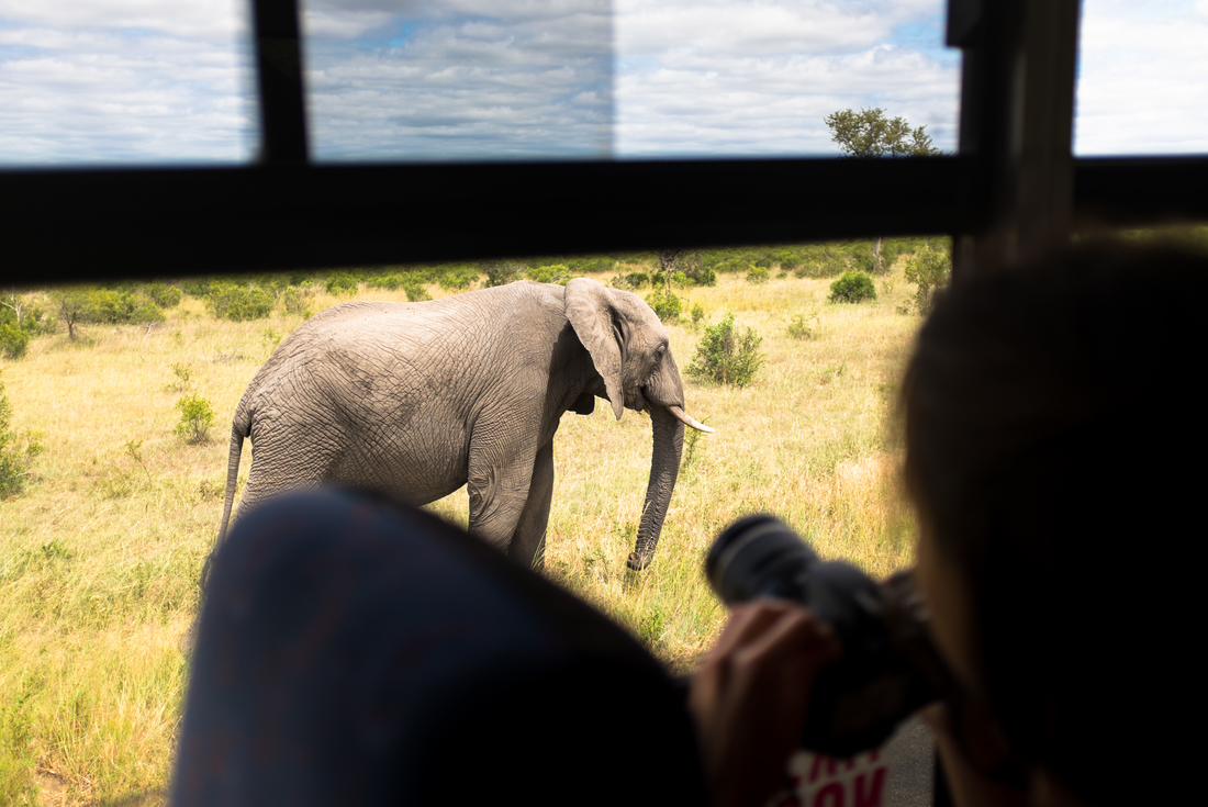 tourhub | Intrepid Travel | South Africa Family Safari with Teenagers 