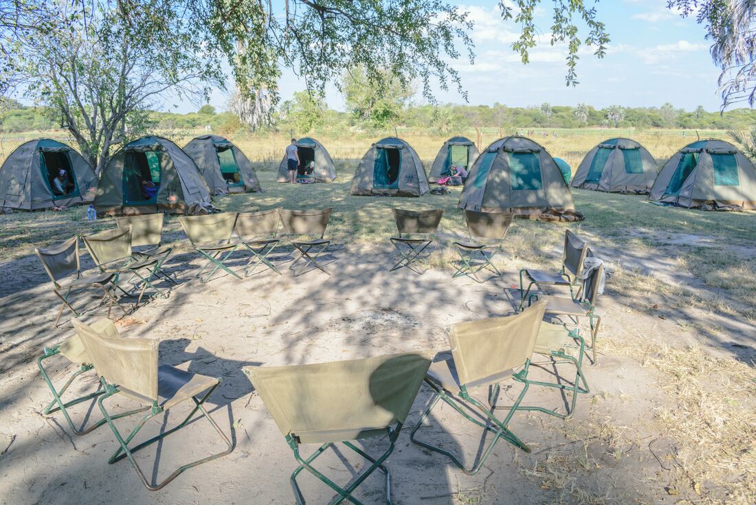 tourhub | Intrepid Travel | Okavango & Beyond 