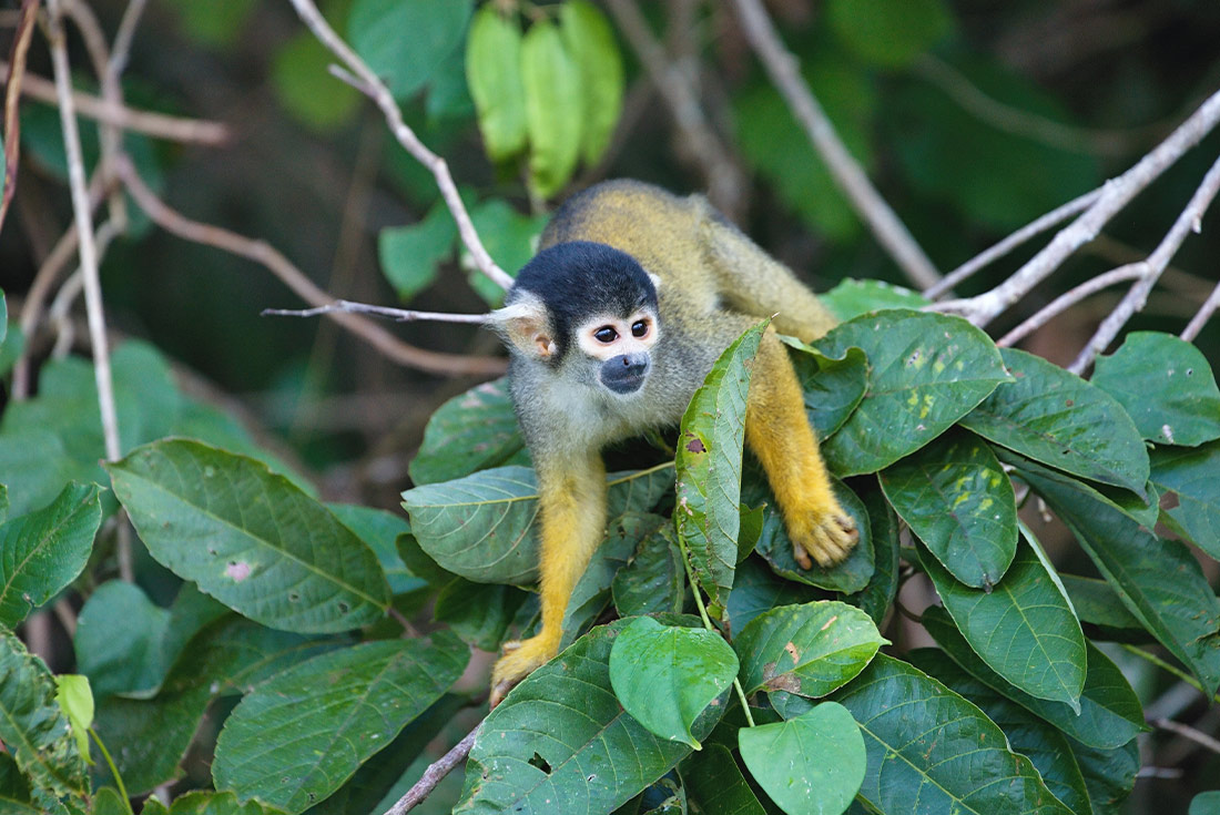 tourhub | Intrepid Travel | Premium Peru in Depth with Ica Valley 