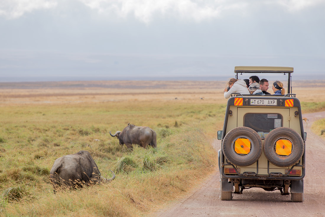 tourhub | Intrepid Travel | Premium Kenya & Tanzania 