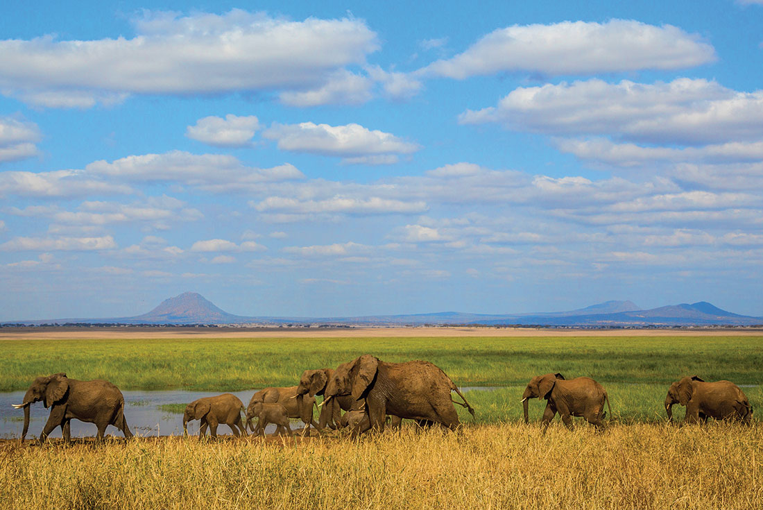 tourhub | Intrepid Travel | Premium Kenya & Tanzania 