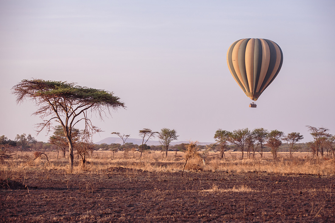 tourhub | Intrepid Travel | Premium Tanzania 