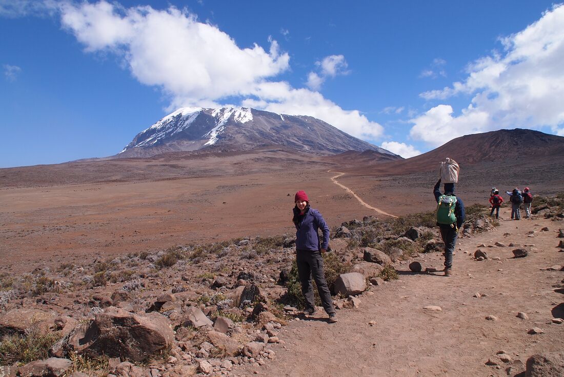 tourhub | Intrepid Travel | Kilimanjaro: Marangu Route 