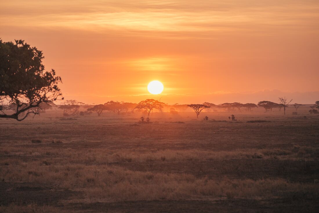 tourhub | Intrepid Travel | Real East Africa & Zanzibar 