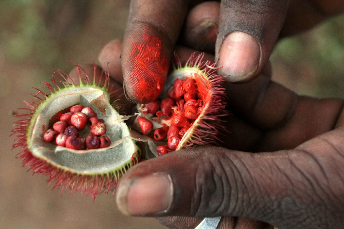 tourhub | Intrepid Travel | Real East Africa & Zanzibar 