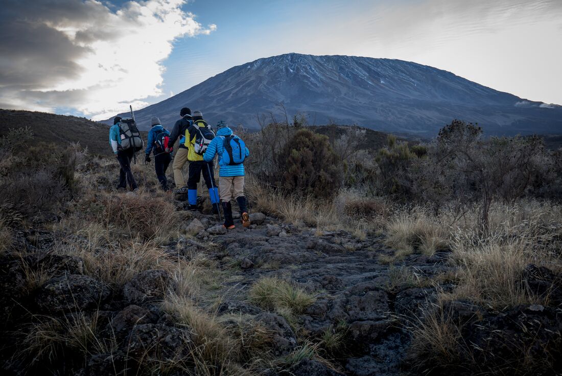 tourhub | Intrepid Travel | Kilimanjaro: Machame Route 