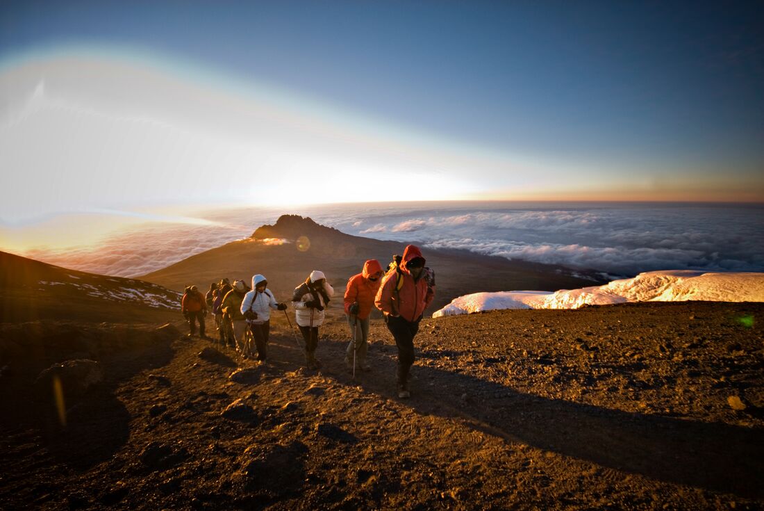 tourhub | Intrepid Travel | Kilimanjaro: Machame Route 