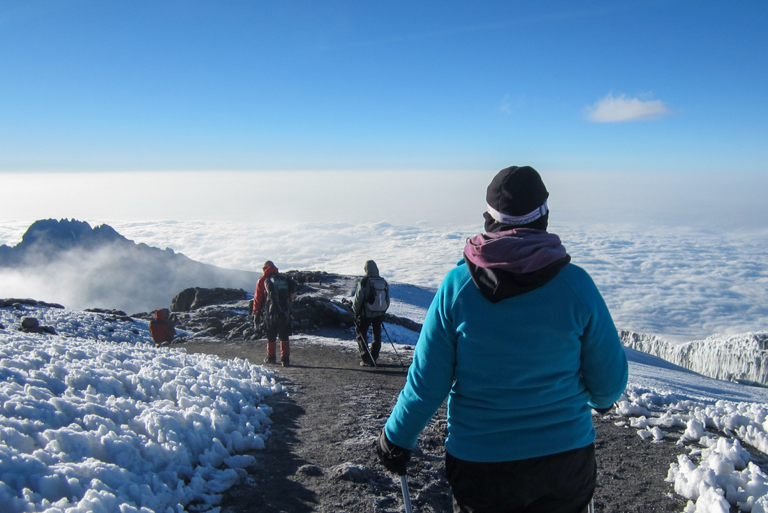 tourhub | Intrepid Travel | Kilimanjaro: Machame Route 