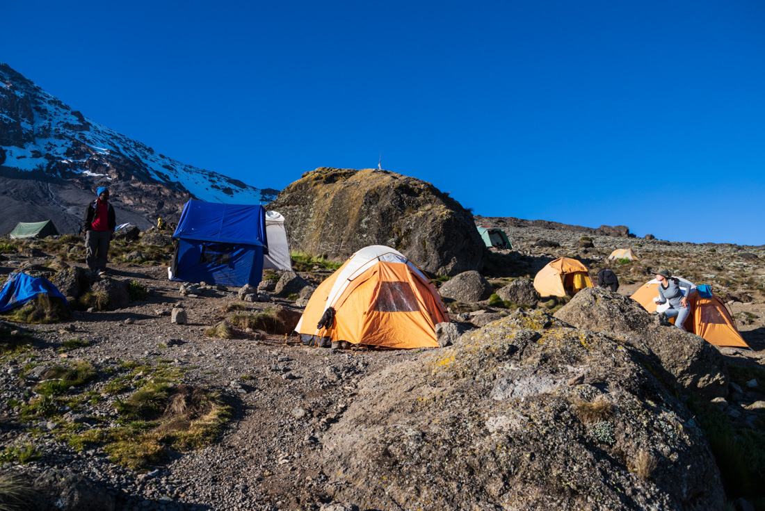 tourhub | Intrepid Travel | Kilimanjaro: Machame Route 