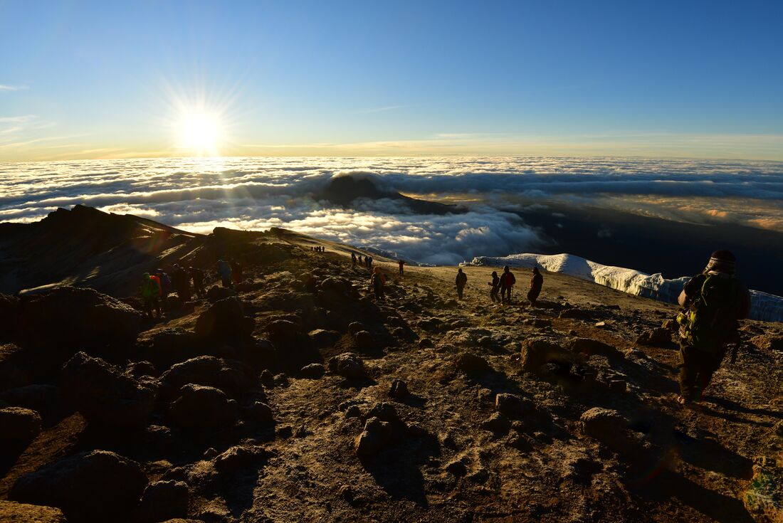 tourhub | Intrepid Travel | Kilimanjaro: Machame Route 