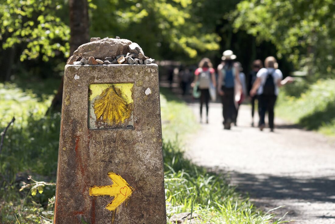 Portuguese Camino