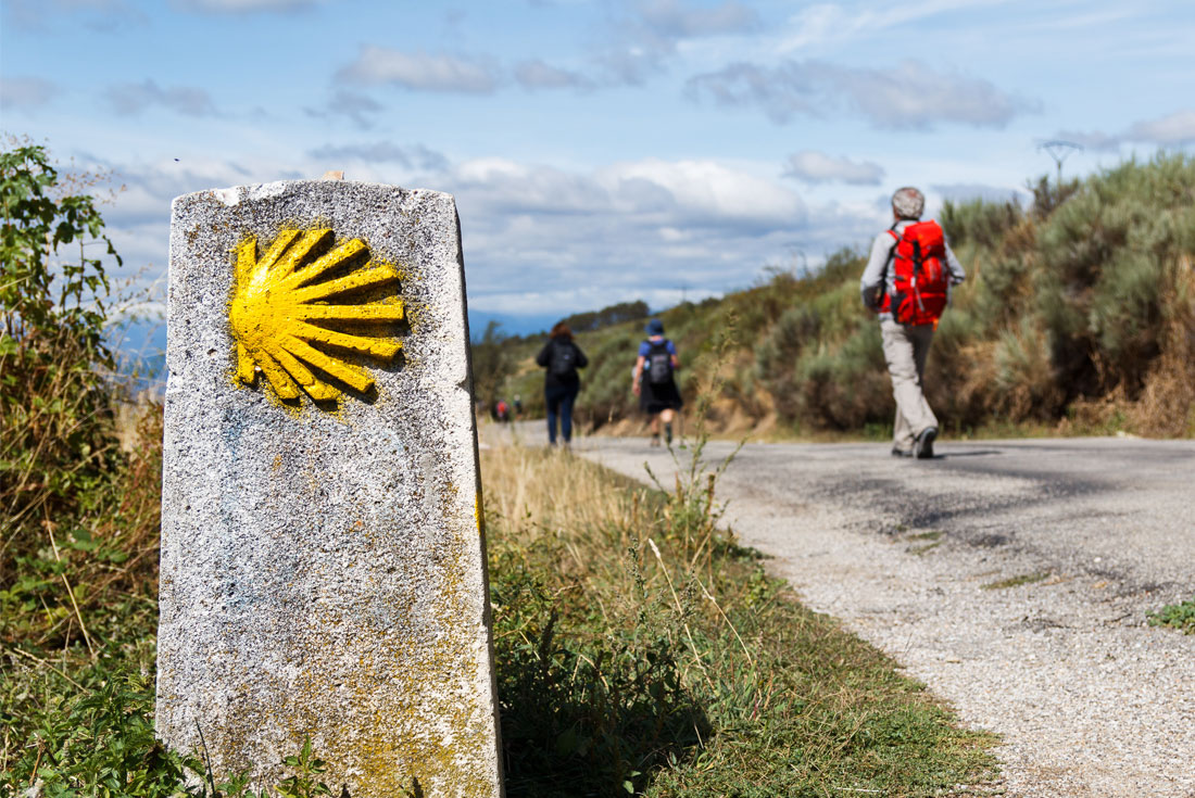 Walk the Camino de Santiago