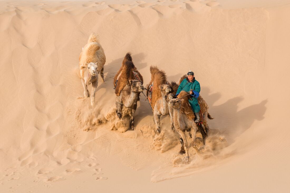 Trans-Mongolian Railway Adventure