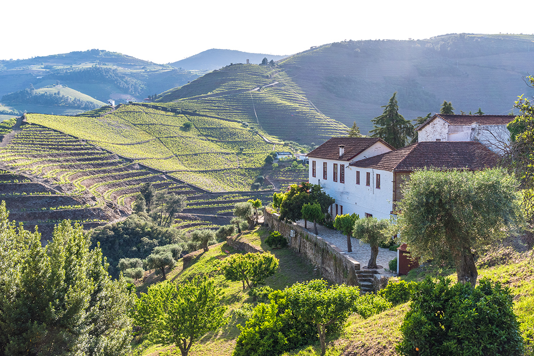 Portugal Real Food Adventure, featuring Galicia