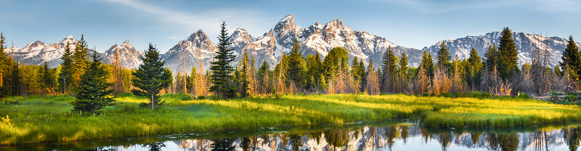 tourhub | Intrepid Travel | Yellowstone and Grand Tetons Adventure 