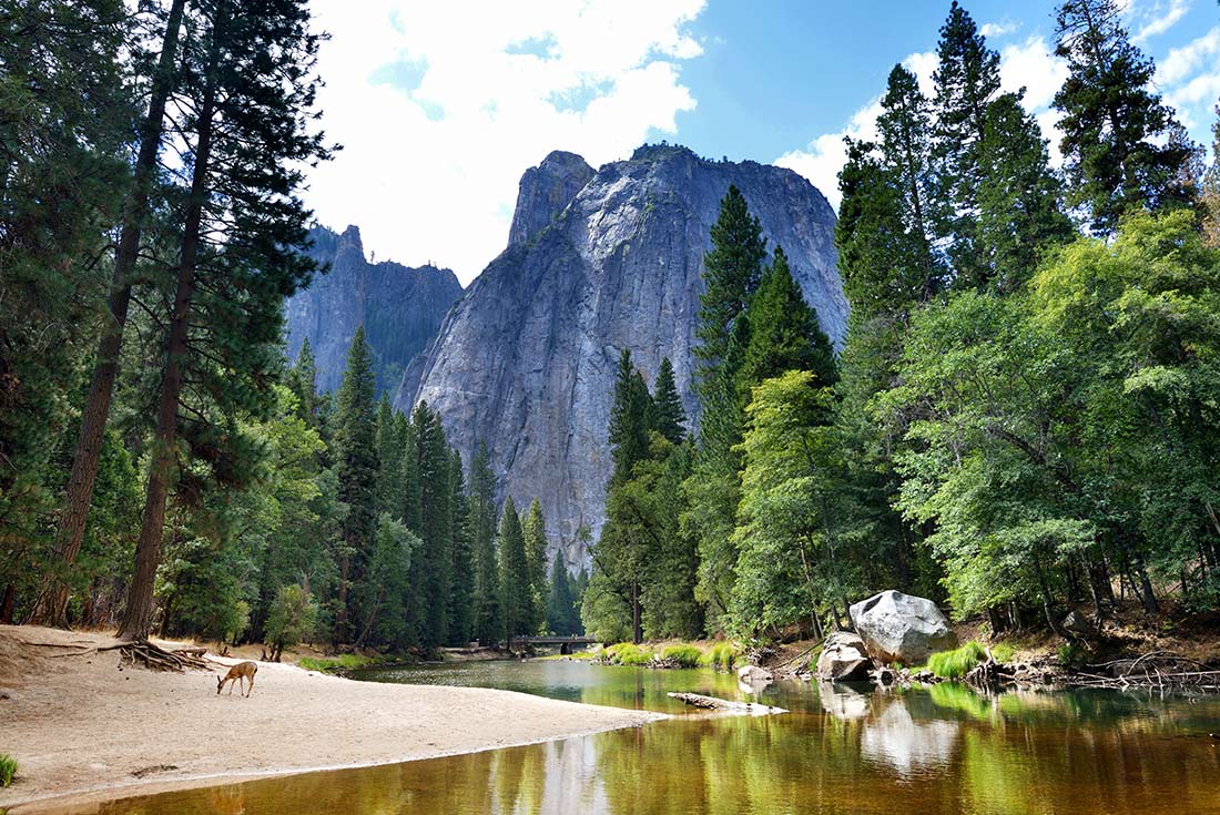 Best of California's National Parks