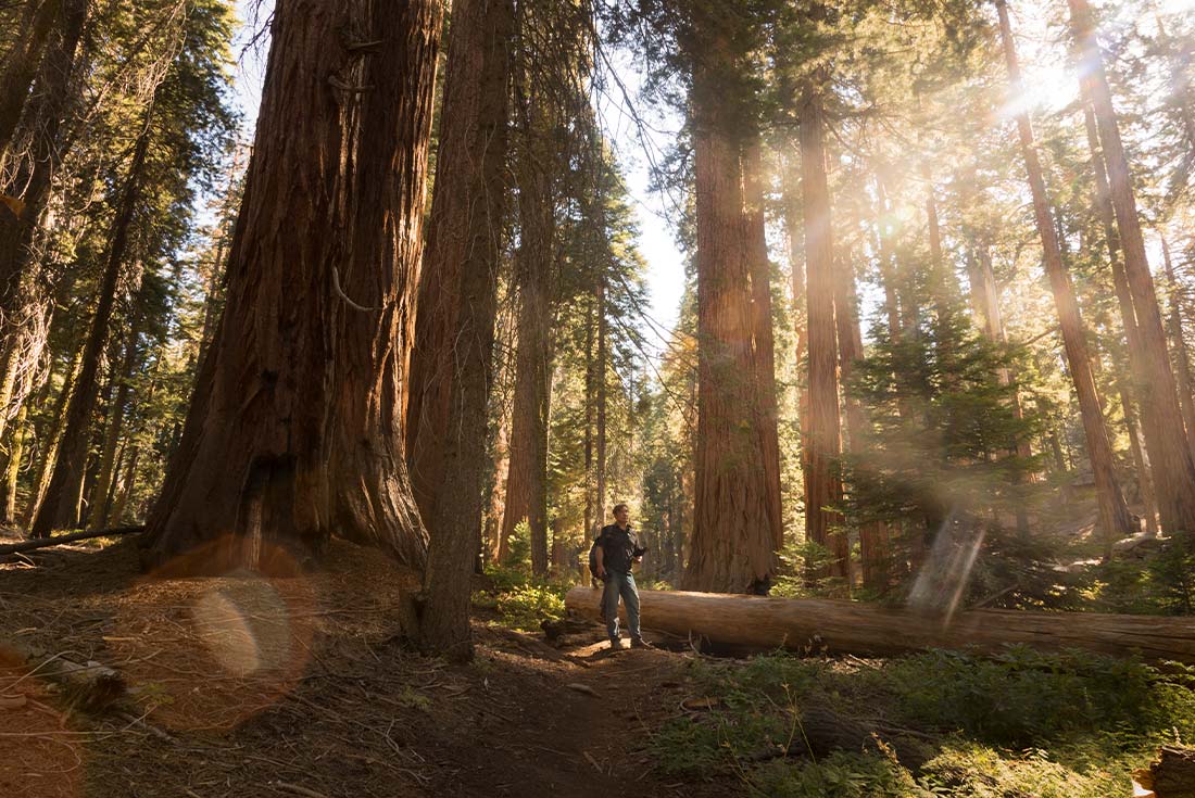 tourhub | Intrepid Travel | Best of California's National Parks 