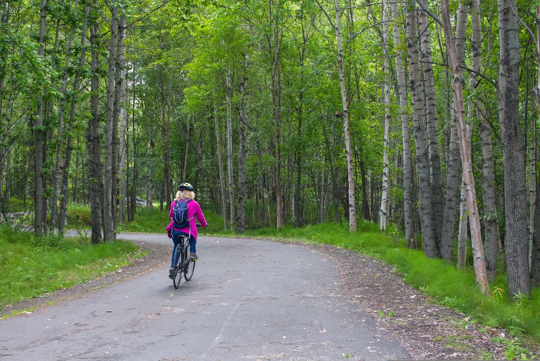 tourhub | Intrepid Travel | Alaska Hike, Bike & Kayak 