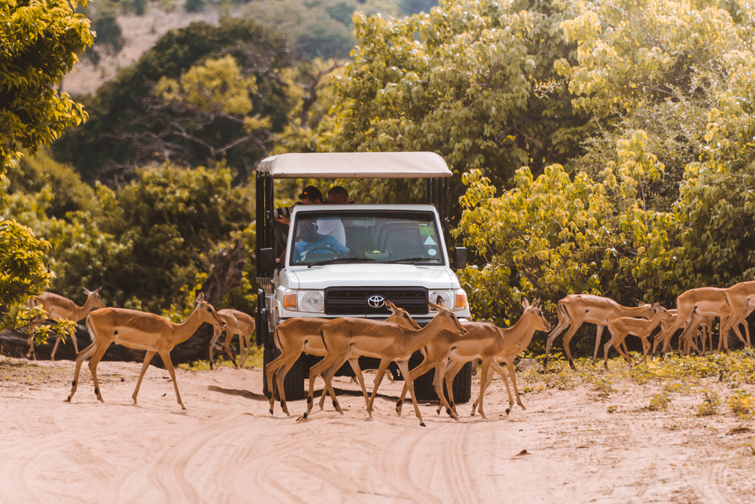 tourhub | Intrepid Travel | Africa Encompassed Northbound 