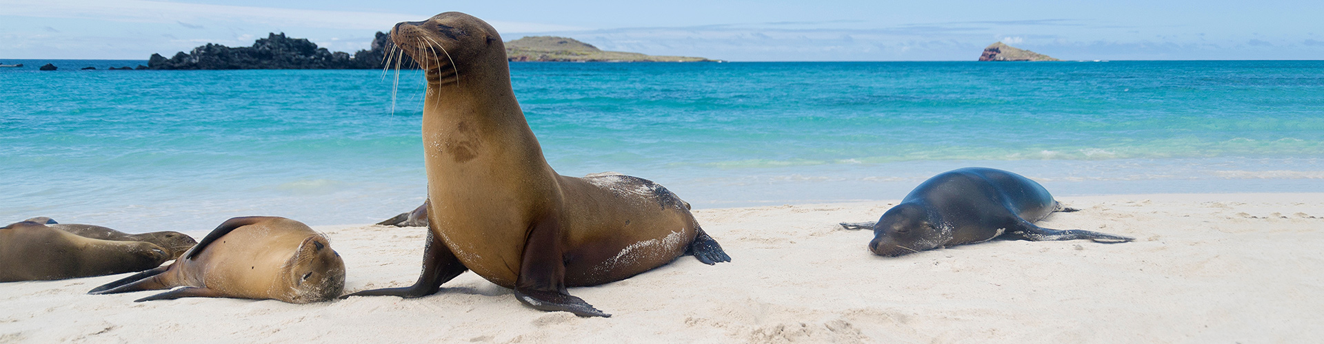 tourhub | Intrepid Travel | Galapagos Island Hopping 