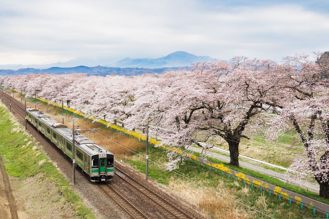 tourhub | Intrepid Travel | Japan: Land of the Rising Sun 