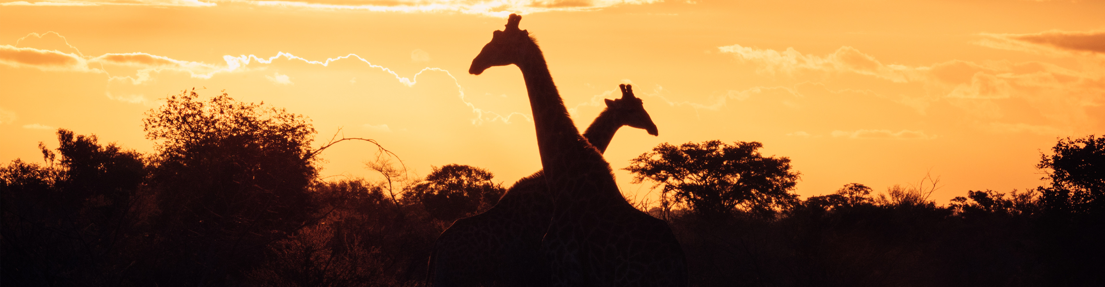 tourhub | Intrepid Travel | Experience Southern Africa 