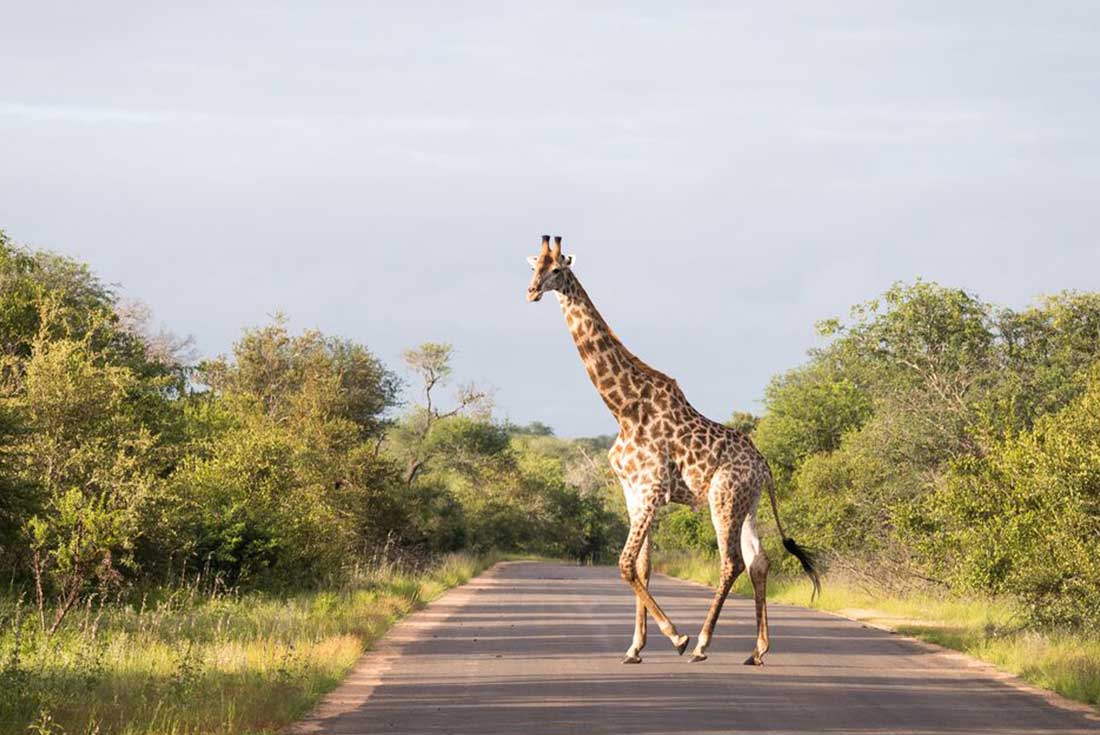 Southern Africa Adventure