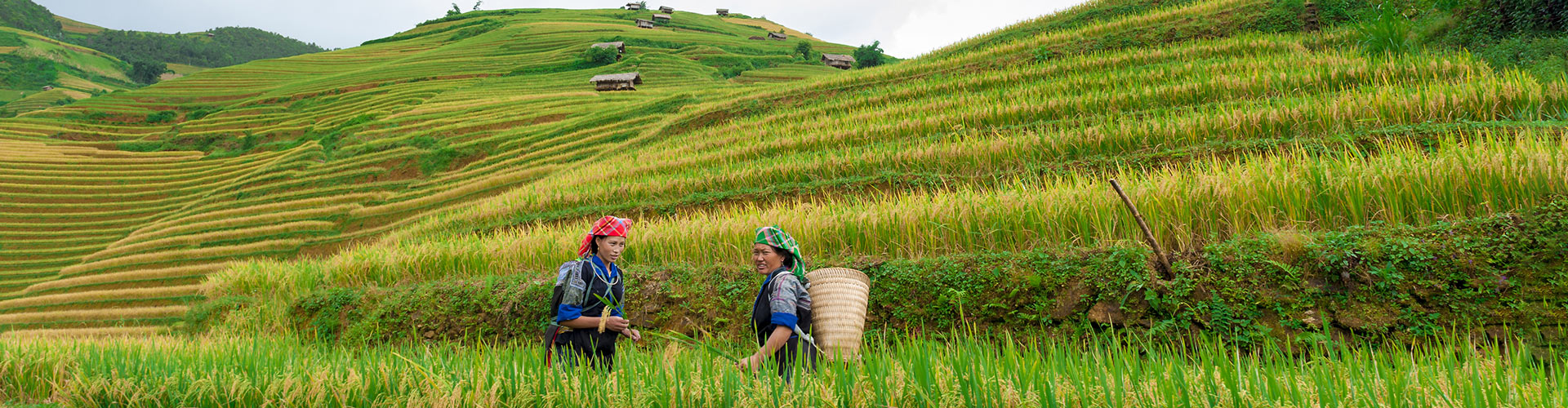 tourhub | Intrepid Travel | Hiking in Sapa 