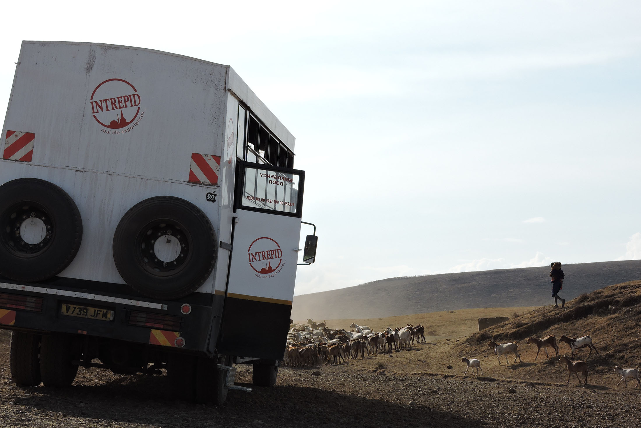 tourhub | Intrepid Travel | Kenya to Cape Town 