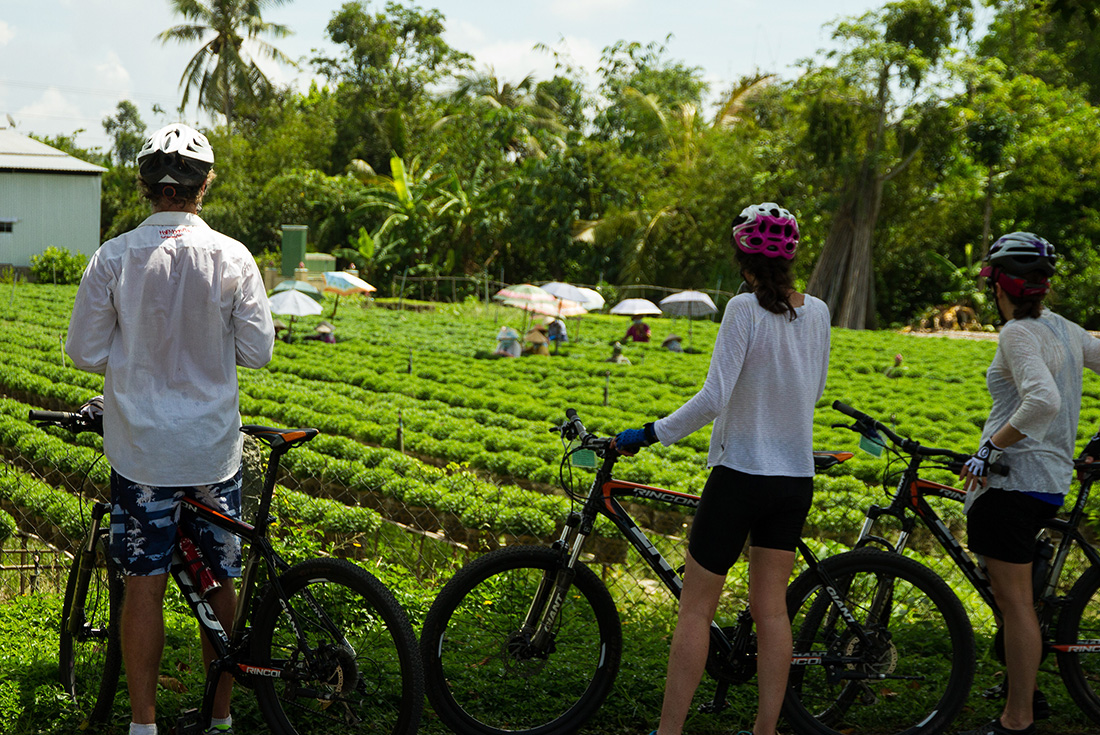 tourhub | Intrepid Travel | Cycle Northern Vietnam 