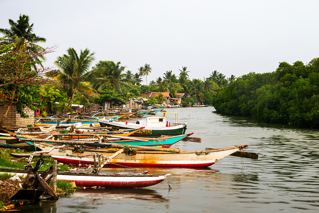 tourhub | Intrepid Travel | Classic Sri Lanka 