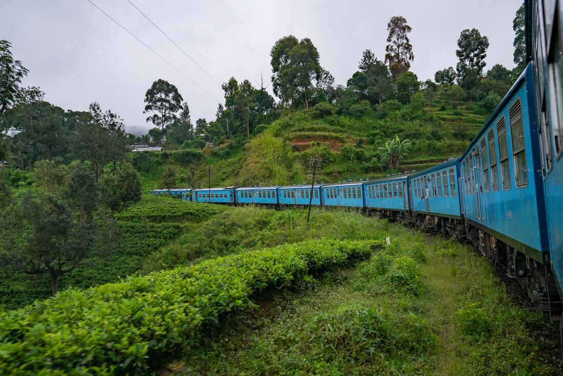 tourhub | Intrepid Travel | Essential Sri Lanka 