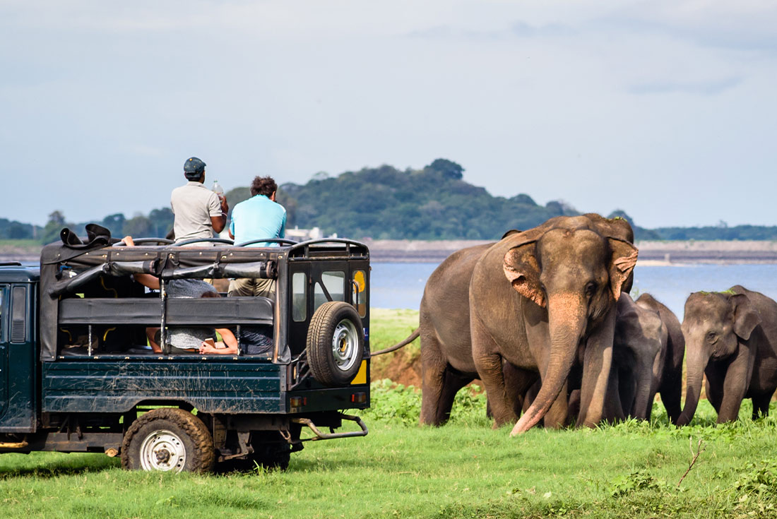 tourhub | Intrepid Travel | Premium Sri Lanka  