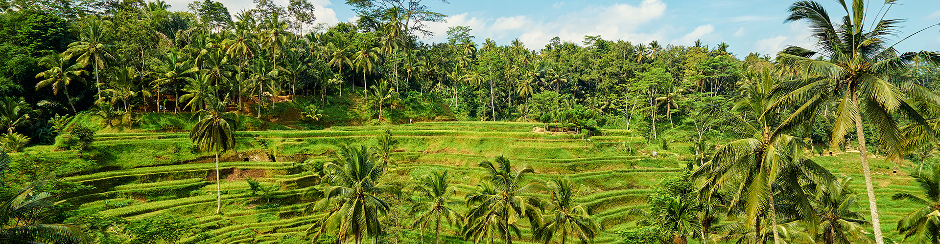 tourhub | Intrepid Travel | Bali Family Holiday with Teenagers 