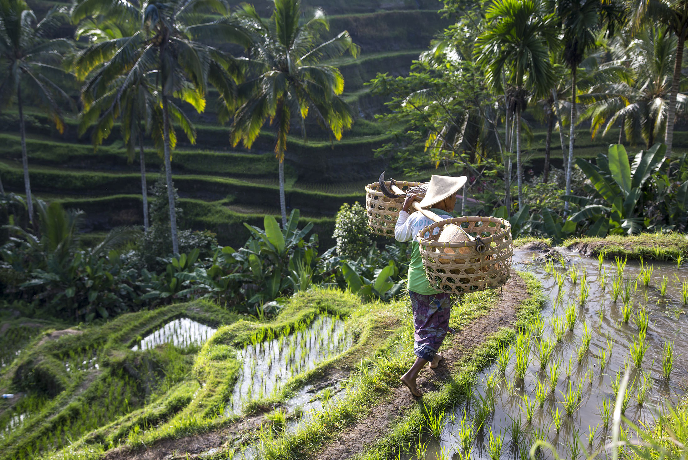 Bali Family Holiday with Teenagers