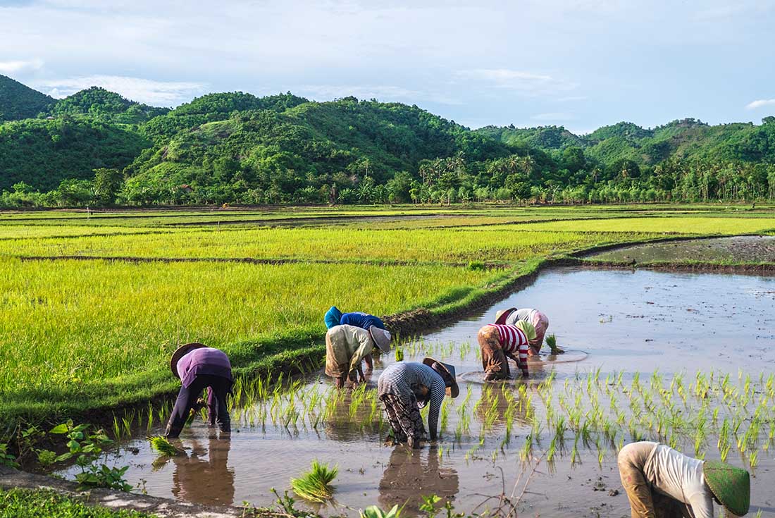 tourhub | Intrepid Travel | Discover Lombok 